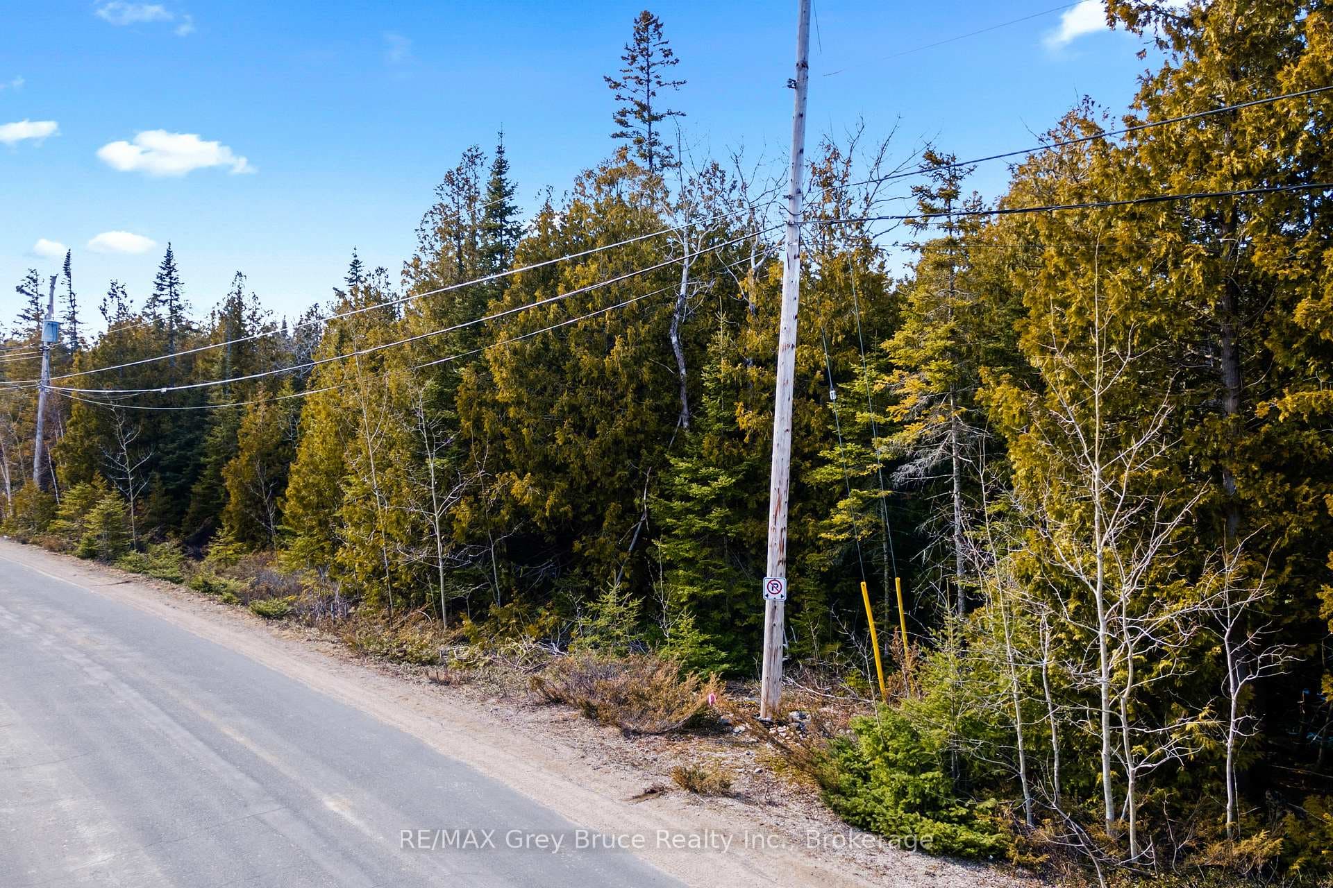 Lot 19 Big Tub Road photo 10