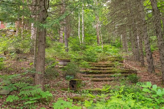 101 Balsam Chutes Road photo 5