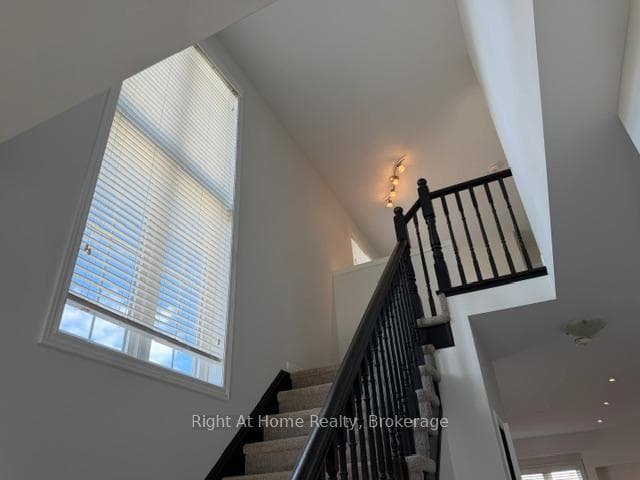 11 White Star Lane photo 7