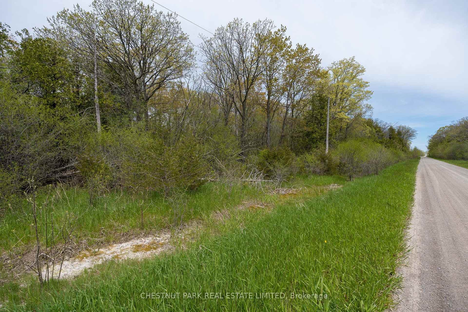 206 Simpson Road photo 10