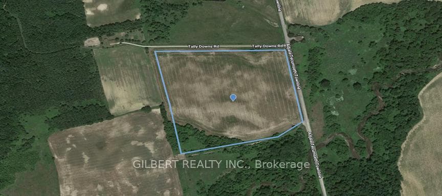 4176 Adjal-Tecum Tline Townline photo 3