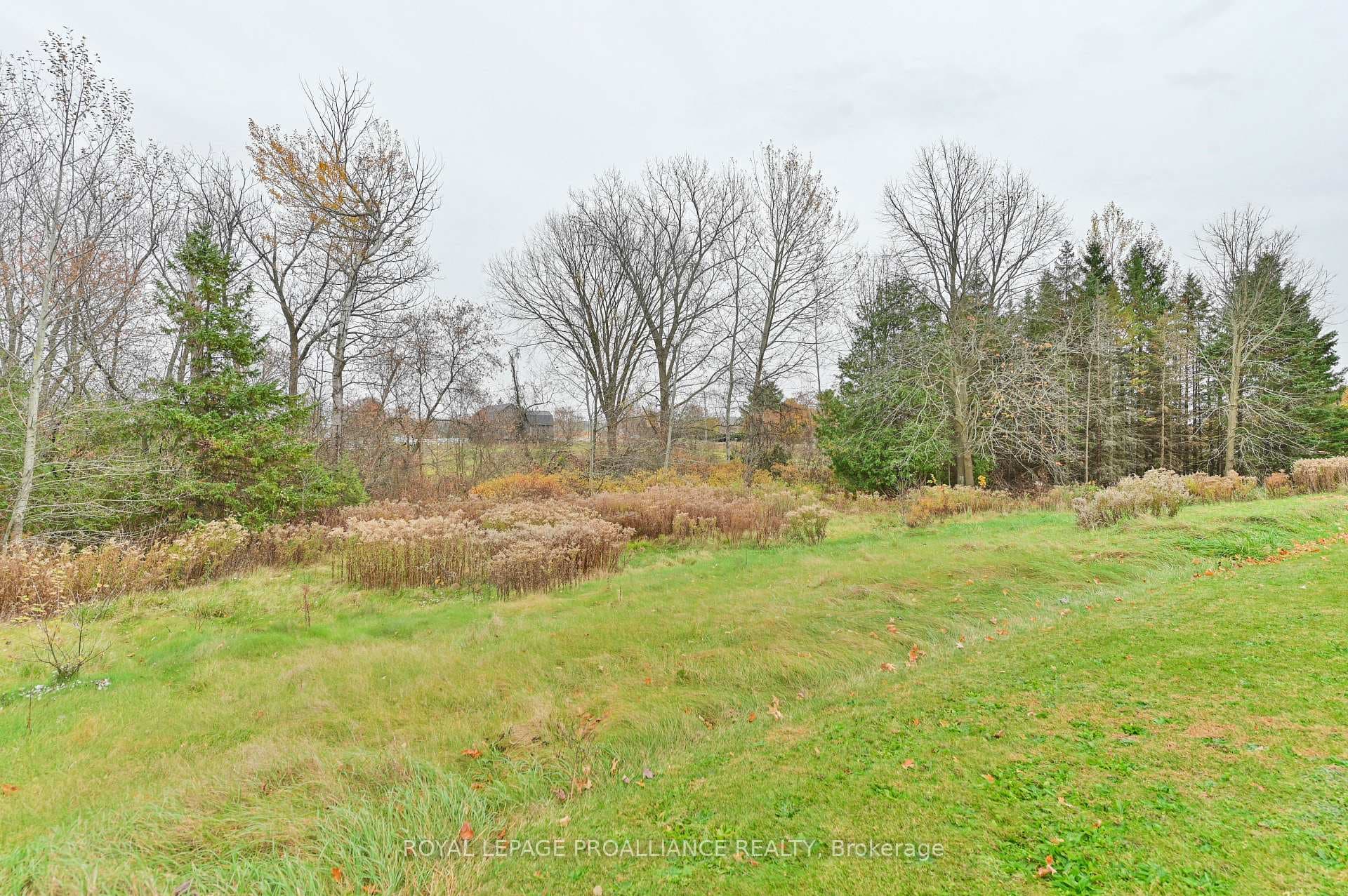 458 Rose Road photo 32