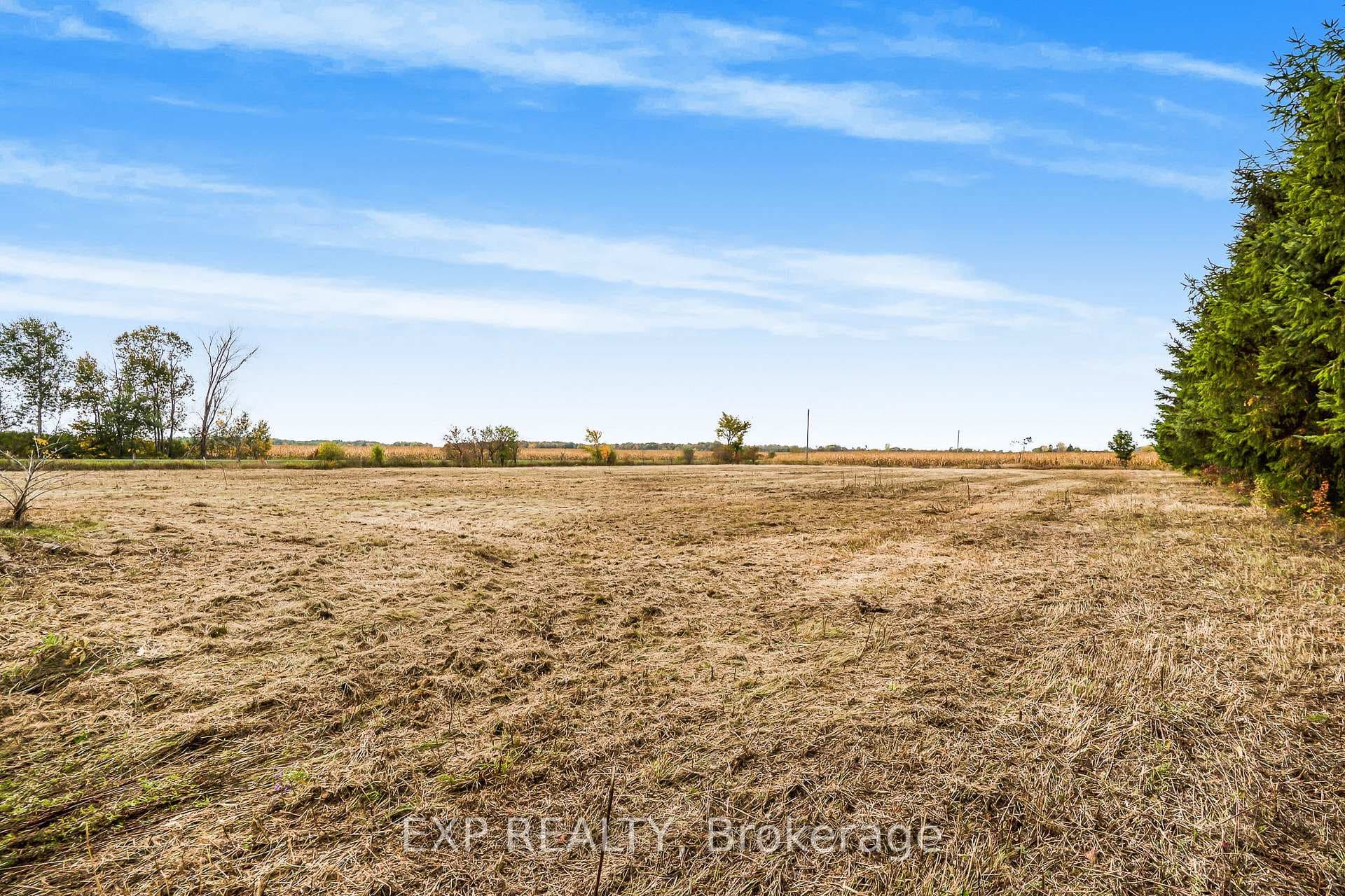 3502 Greenlane Road photo 13