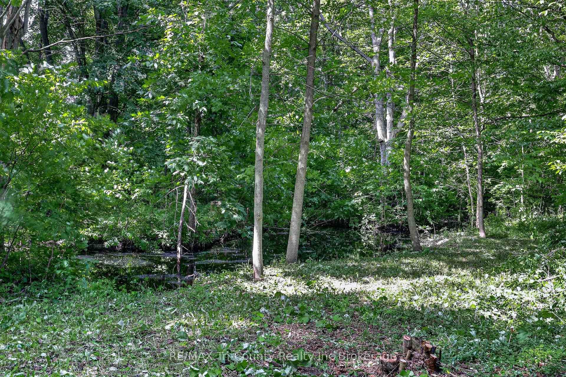 Pond