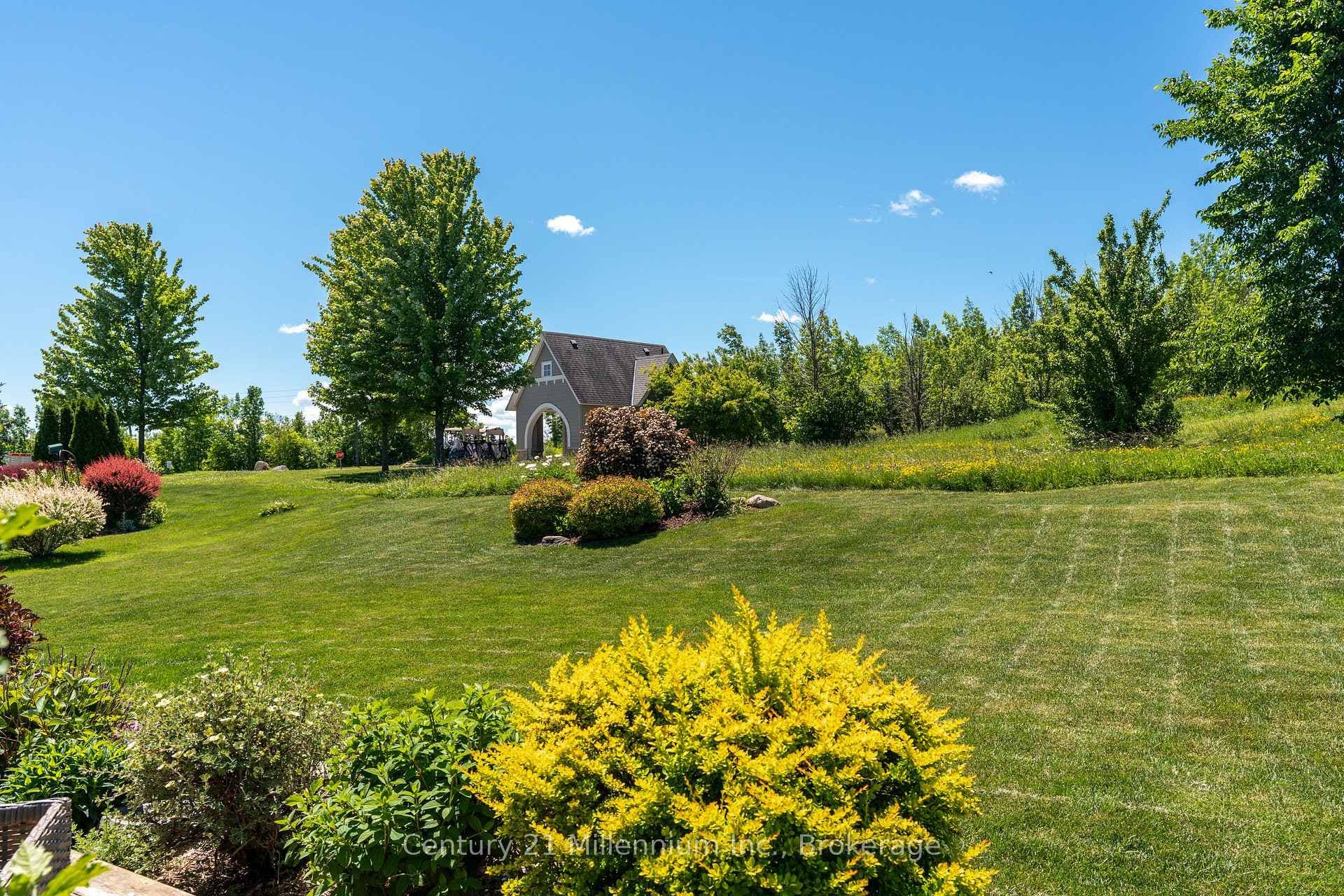 206 Snowberry Lane photo 11