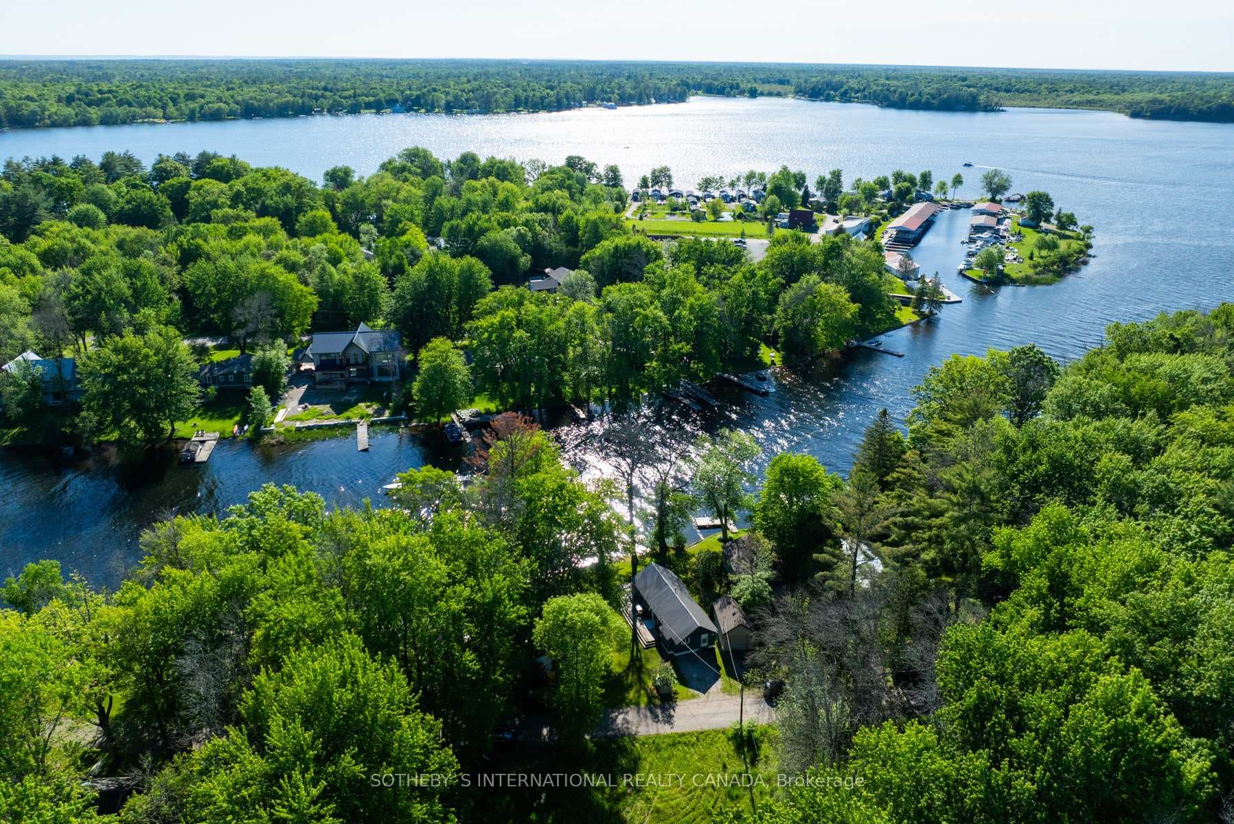 1029 Beadale Lane photo 5