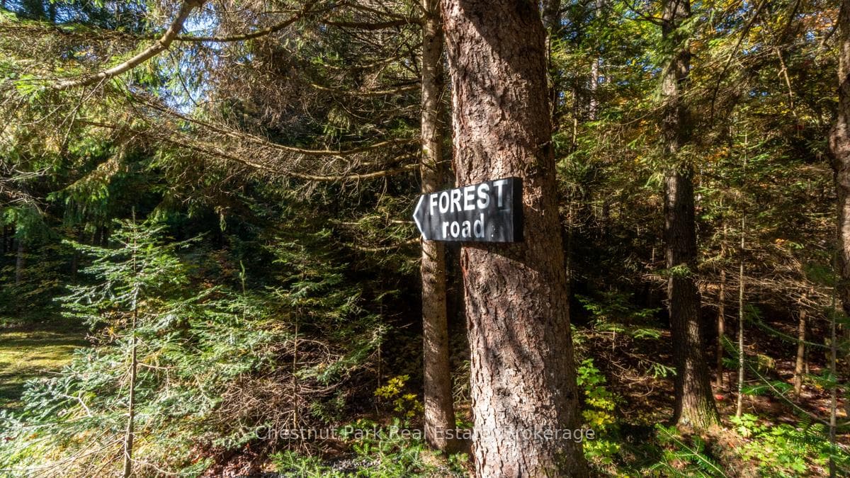 1374 Purbrook Road photo 23