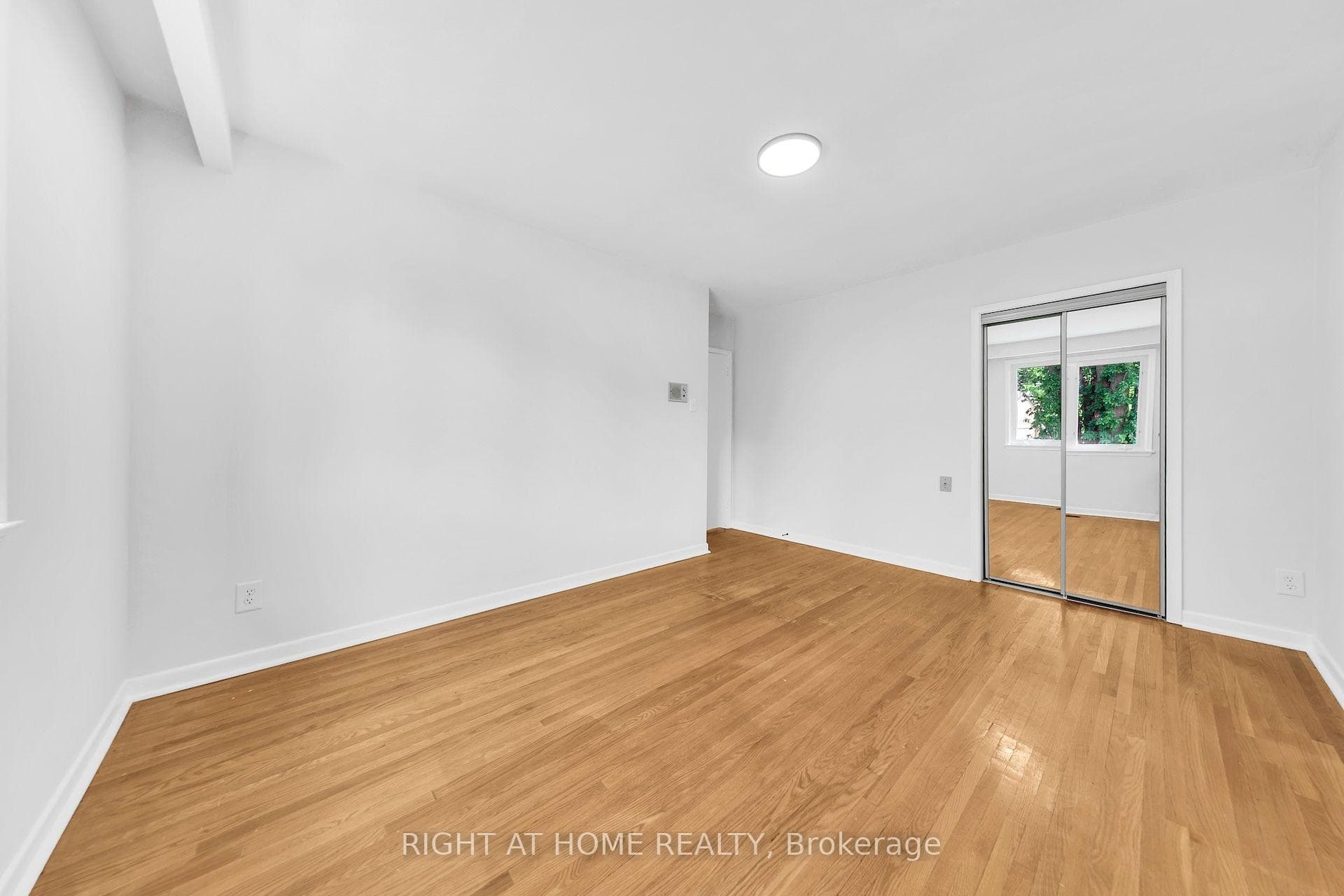 88 Peckham Avenue photo 22