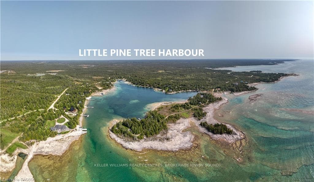 LITTLE PINE TREE HABROUR