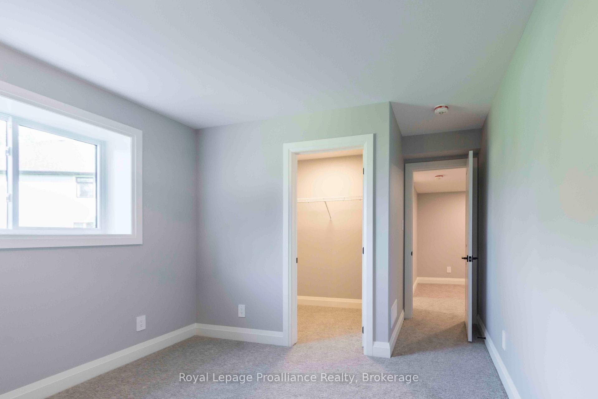 Sample Sugar Maple Interior
