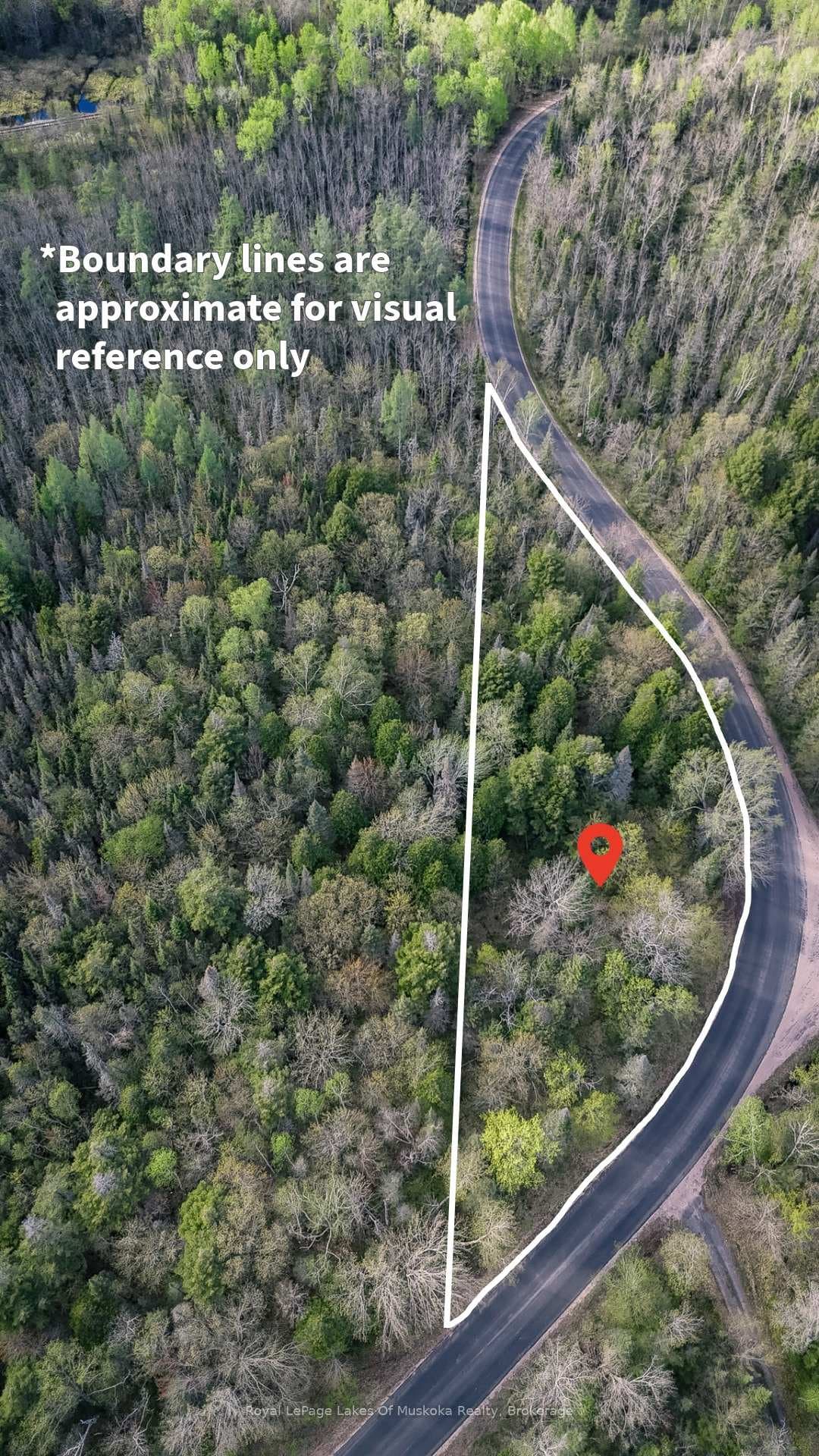 Fully Treed Building Lot