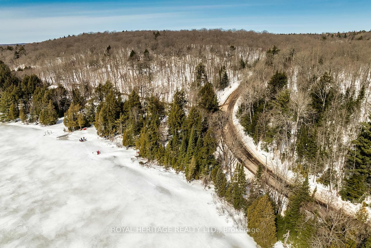 4 PINEDALE Drive photo 43