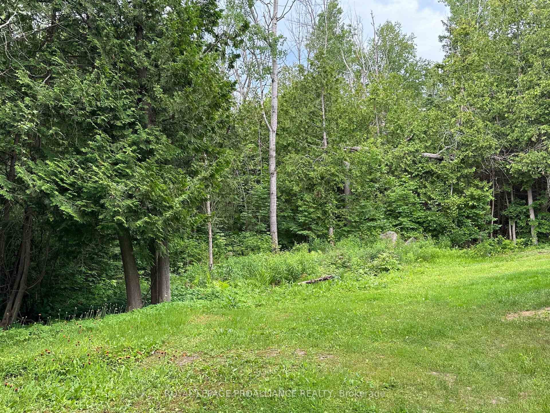 2664 County Road 42 N/A photo 28