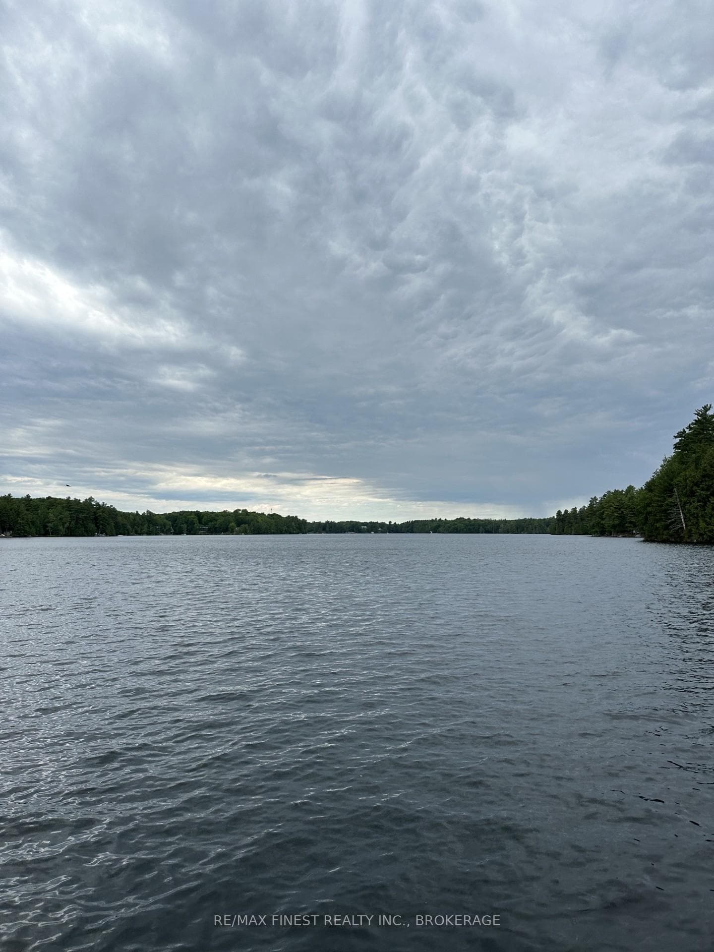 27246 Eagle Lake N/A photo 3