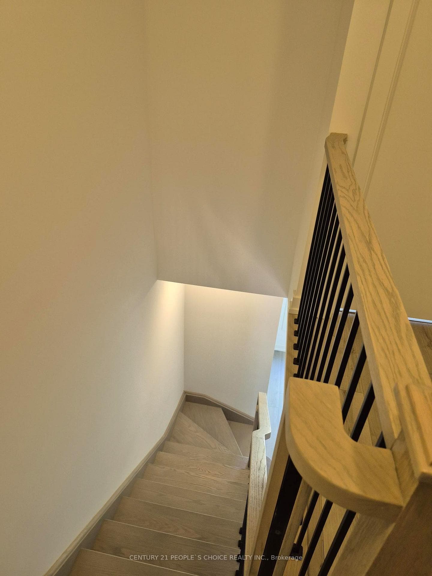 21 Calamint Lane photo 19