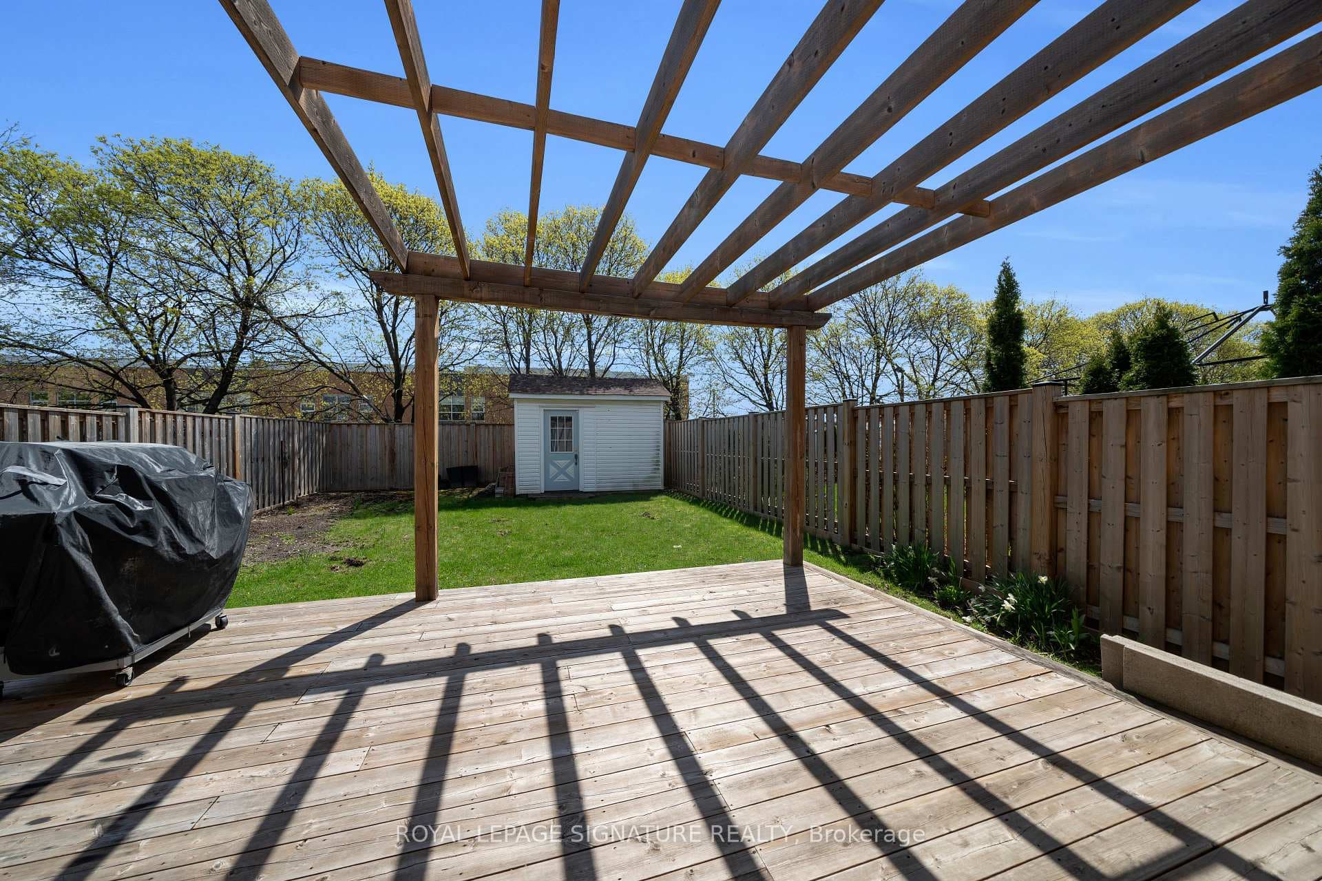 Backyard is a Blank Canvas