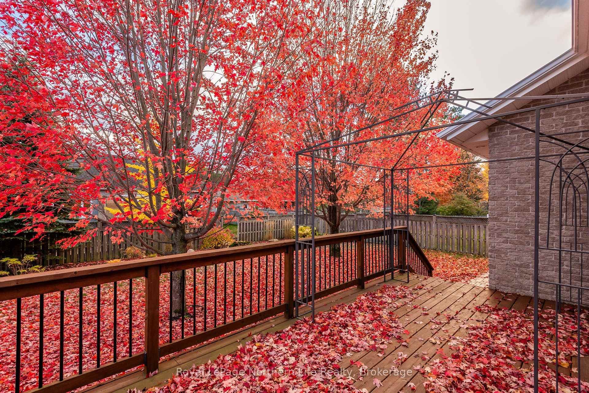 27 Vermont Crescent photo 45
