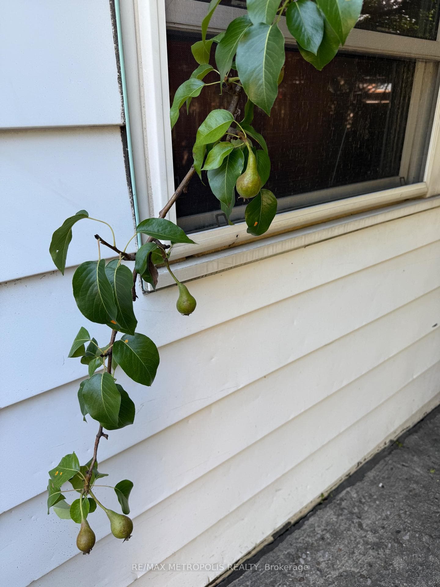 175 Celina Street photo 44