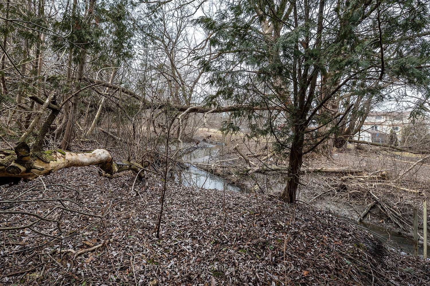 Ravine Lot