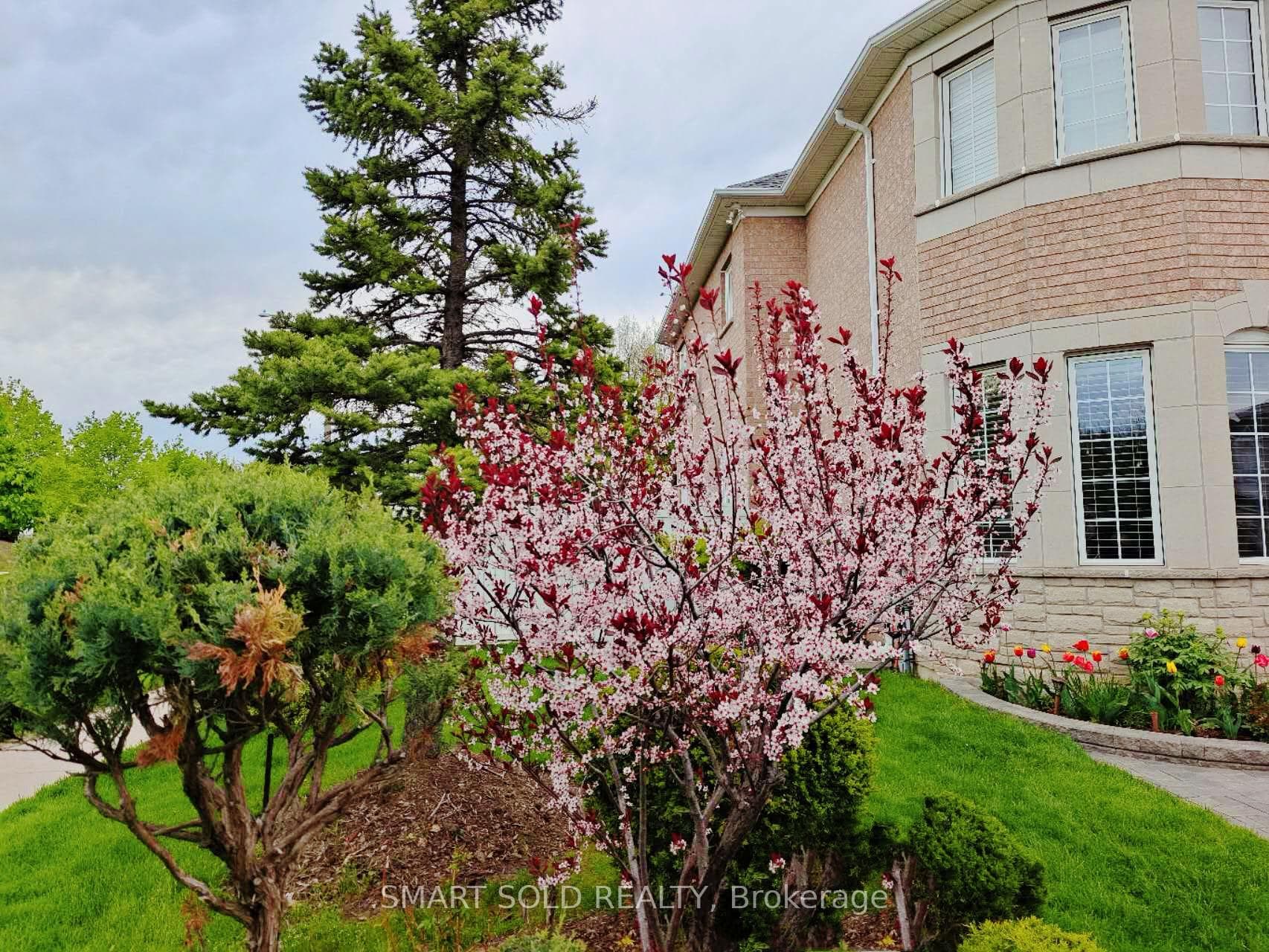 39 Bayfield Drive photo 50