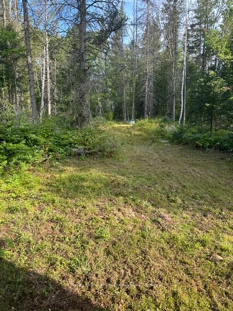 1866 Highway 124 N/A photo 8