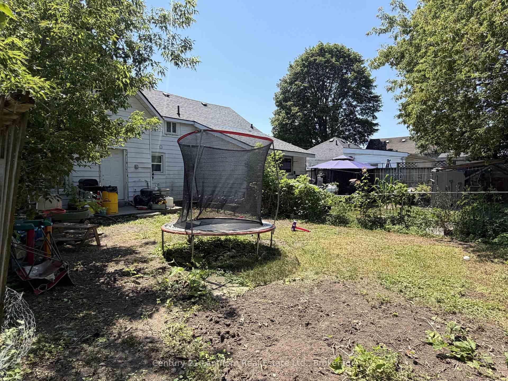 82 John St Backyard