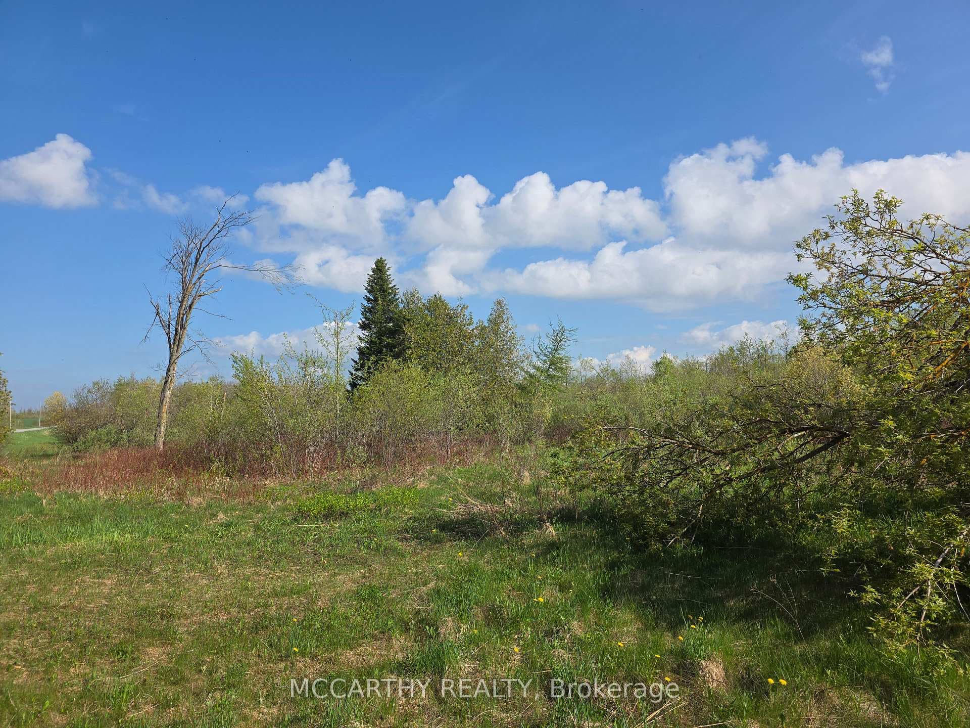 238527 4th Line photo 3