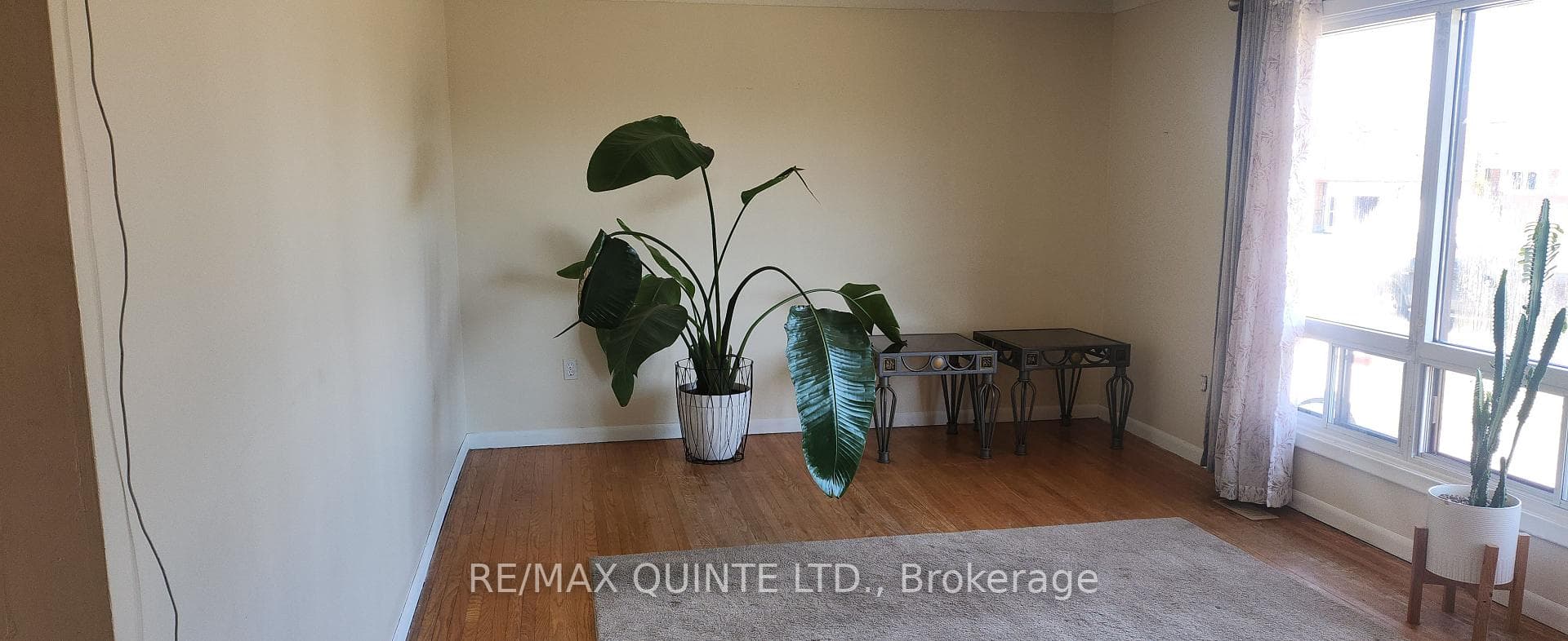 12 Wedgewood Road photo 14