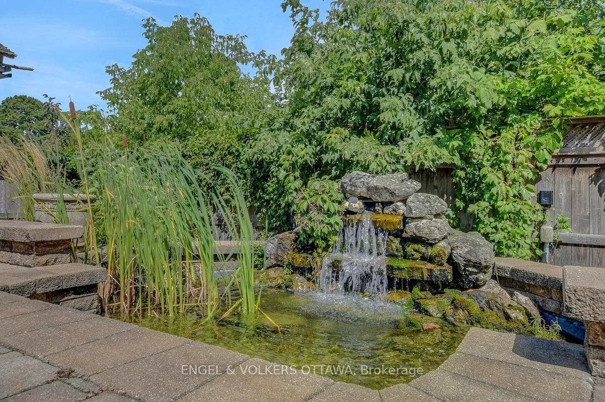 Tranquil water feature