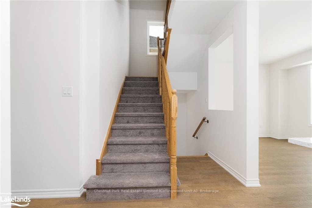 244 DUNCAN Street photo 9