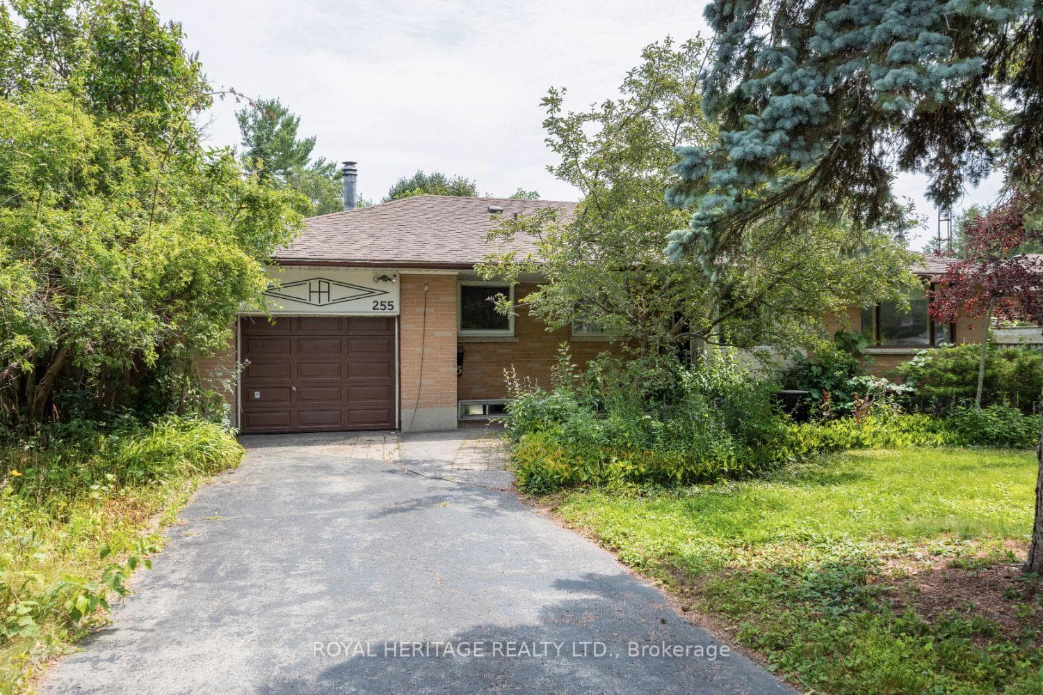 255 Meadow Road photo 1