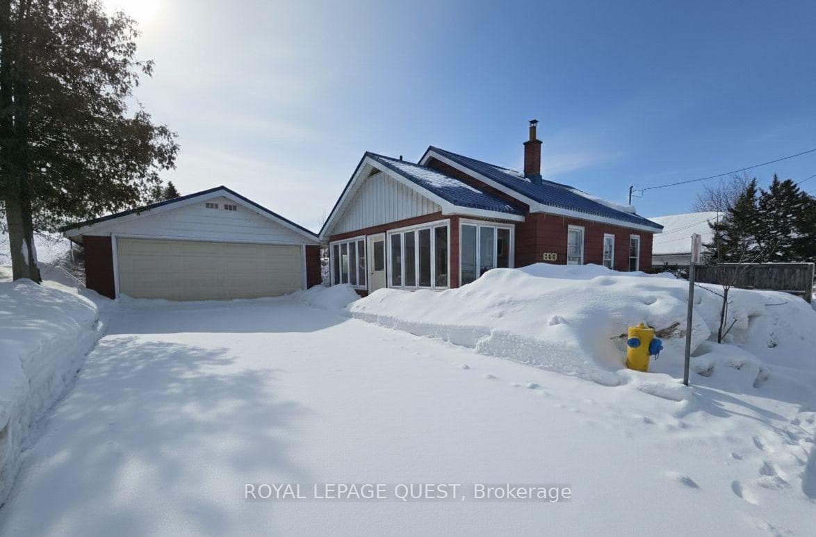 246 Albert Street photo 1