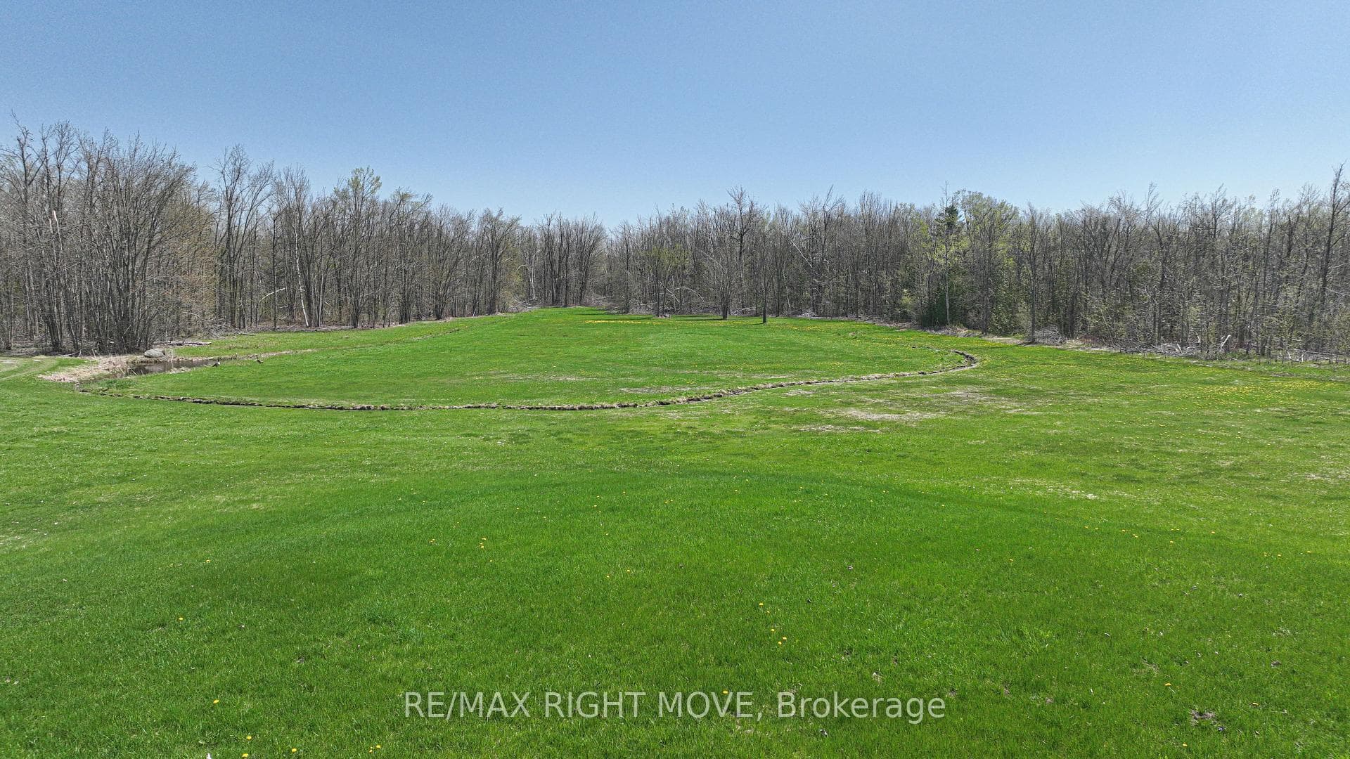 Backing onto green space and forest