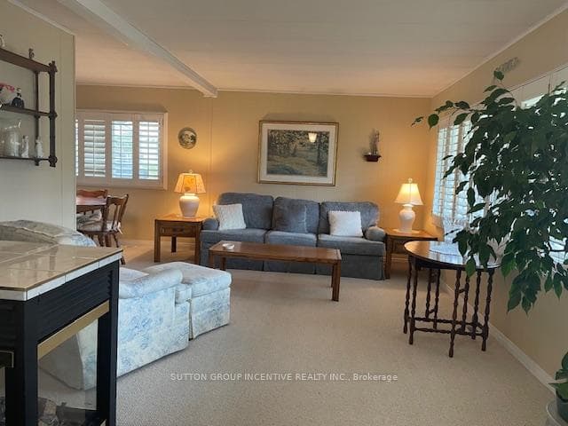 15 Trefoil Drive photo 4