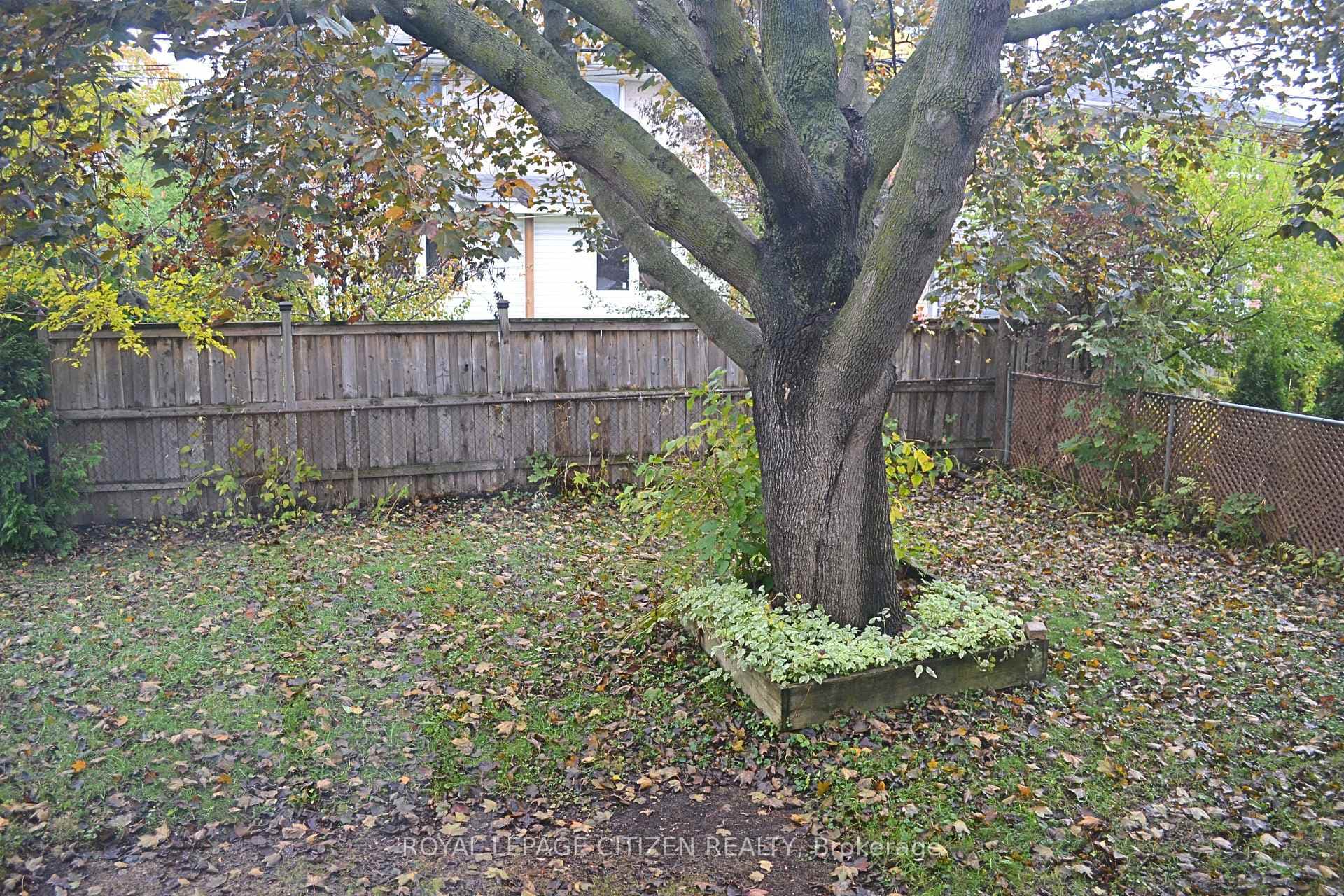 47 Barkwin Drive photo 10