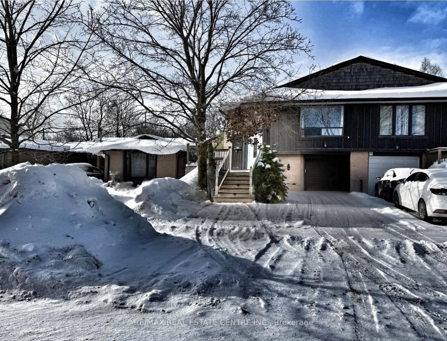 50 Marion Street photo 1