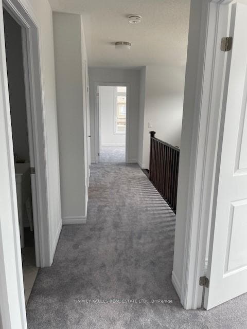 51 Edminston Drive photo 6