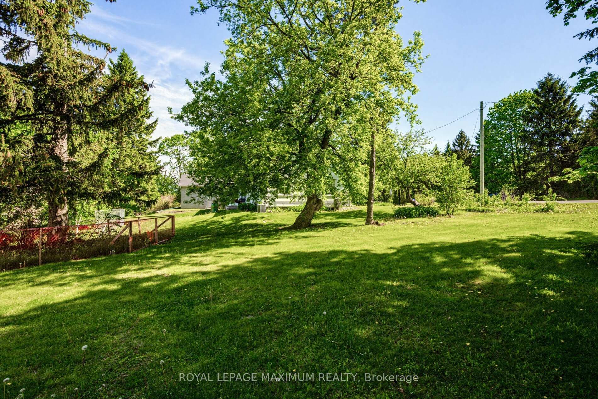 80 McDonald Street photo 31
