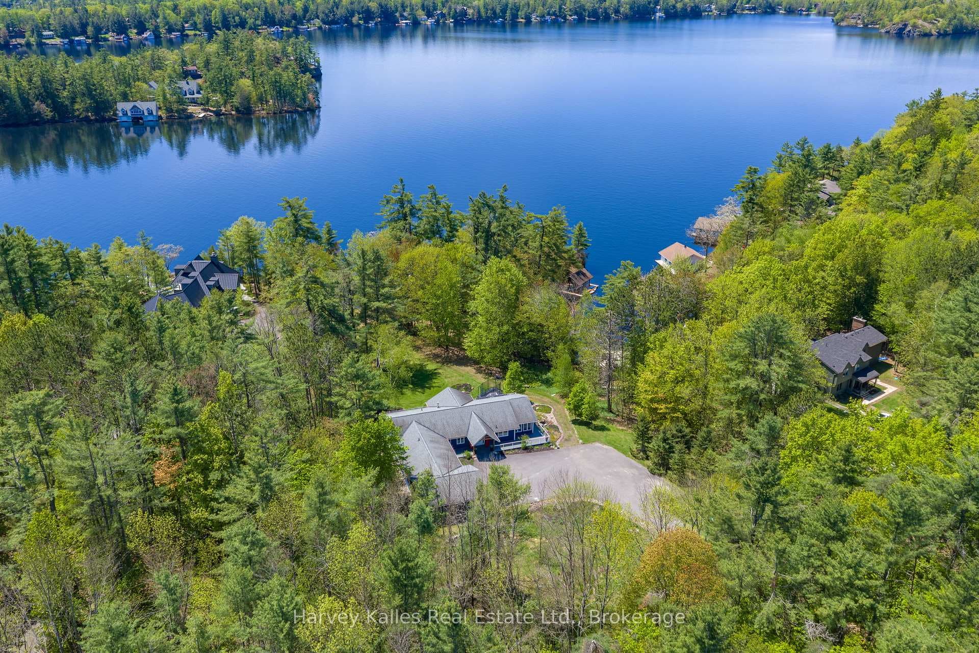 1615 Muskoka Road photo 44