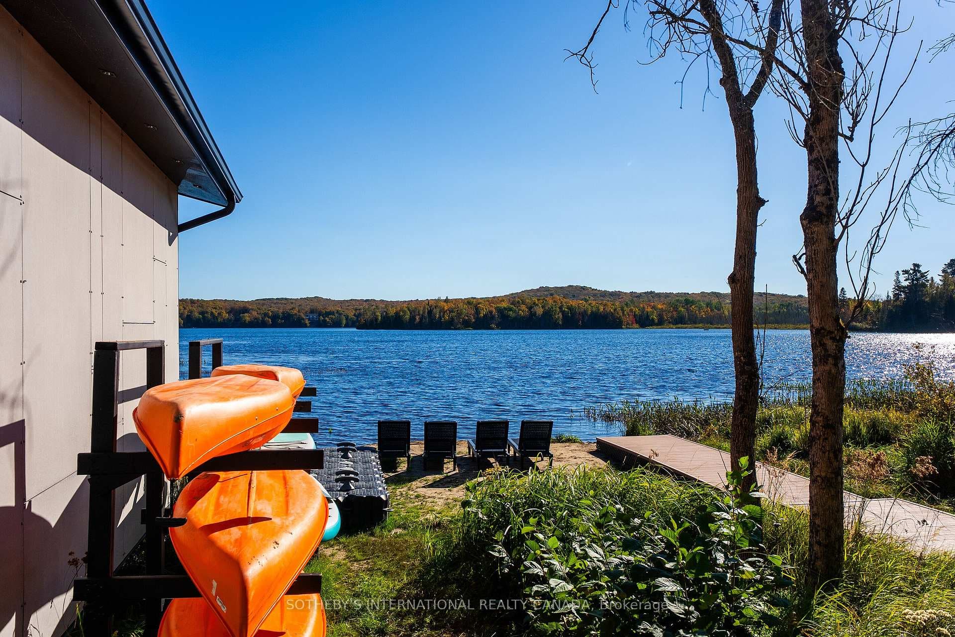 Lakeside Beach View
