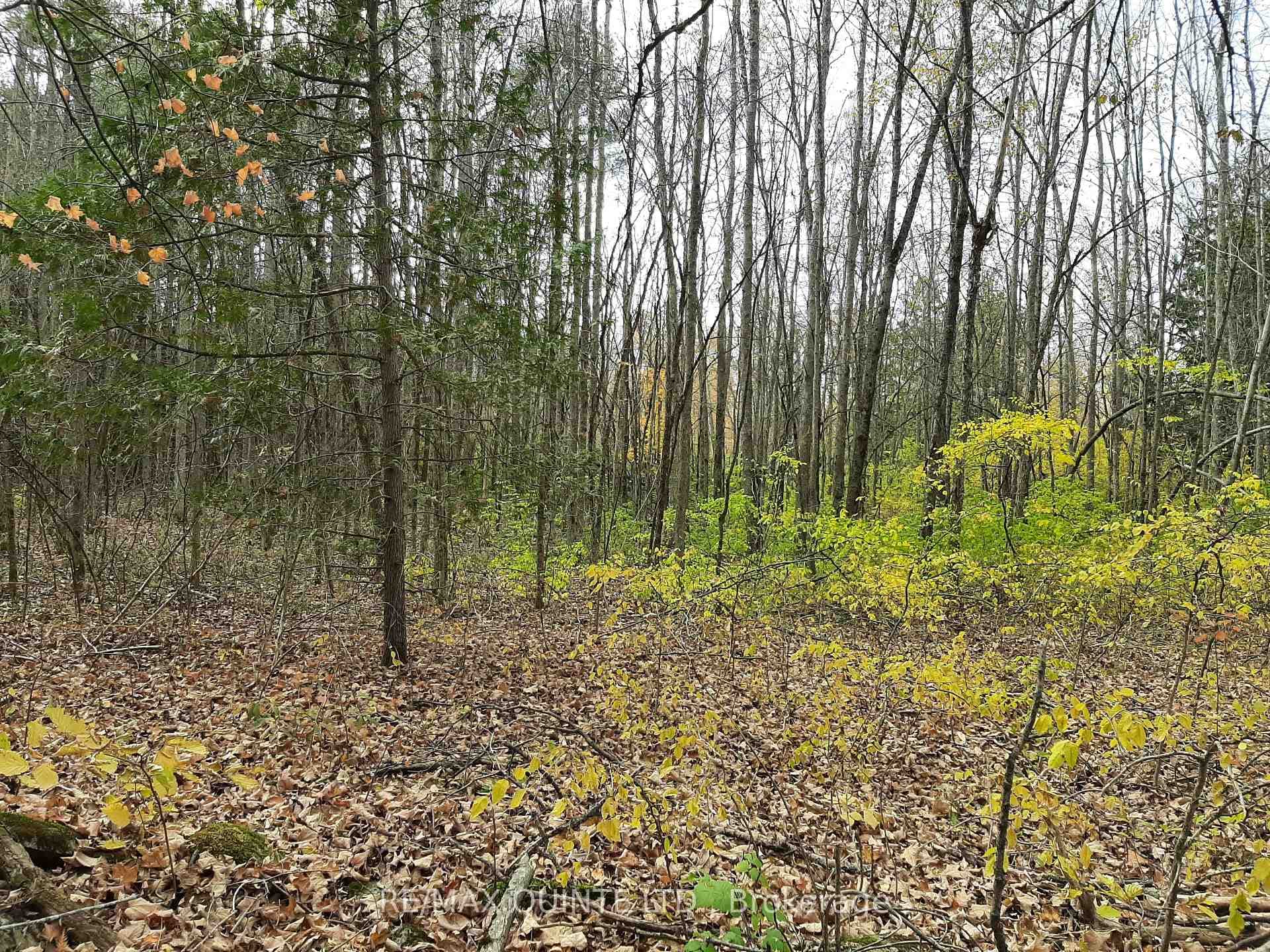 289 Maines Road photo 37