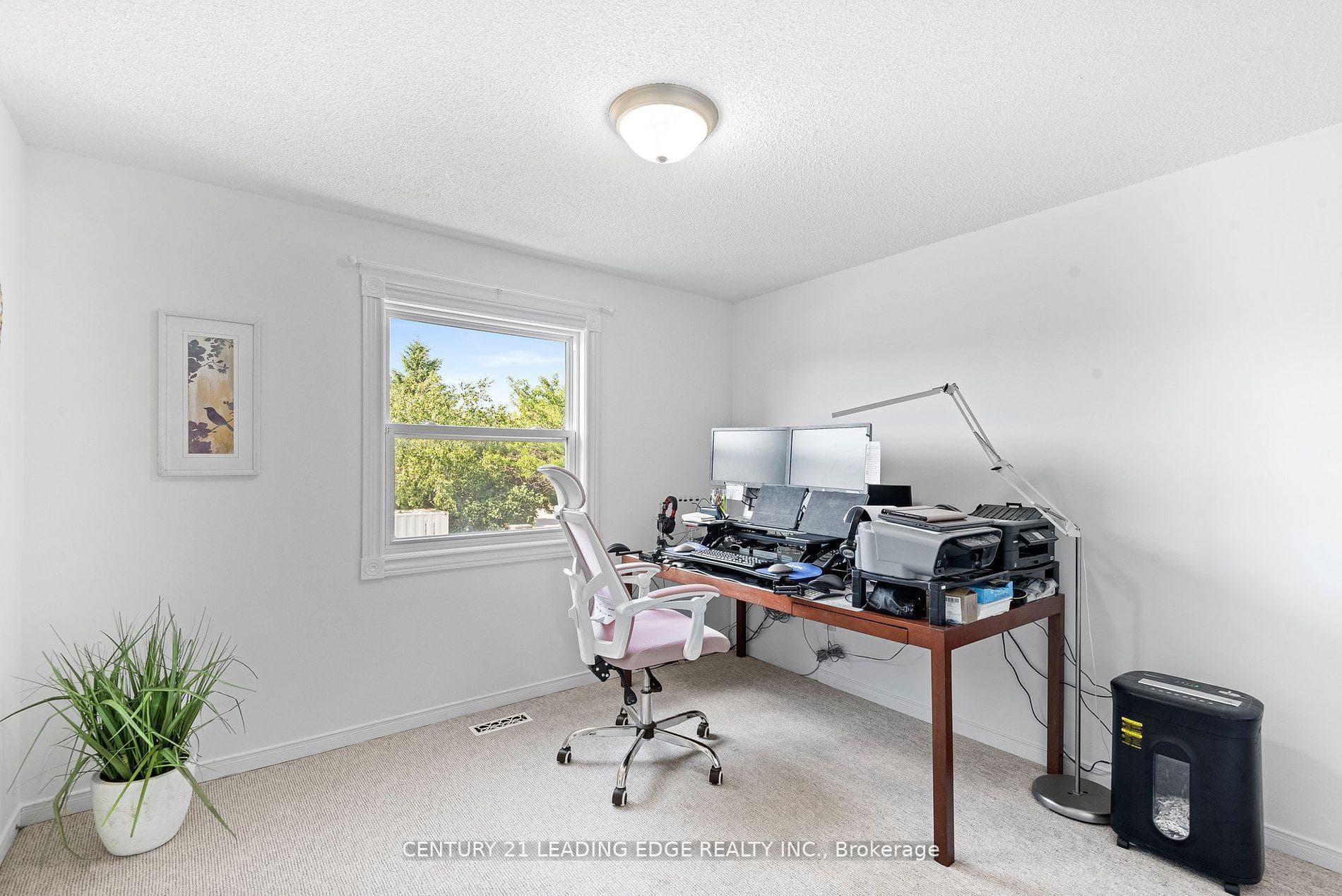 11 Pinestone Court photo 29