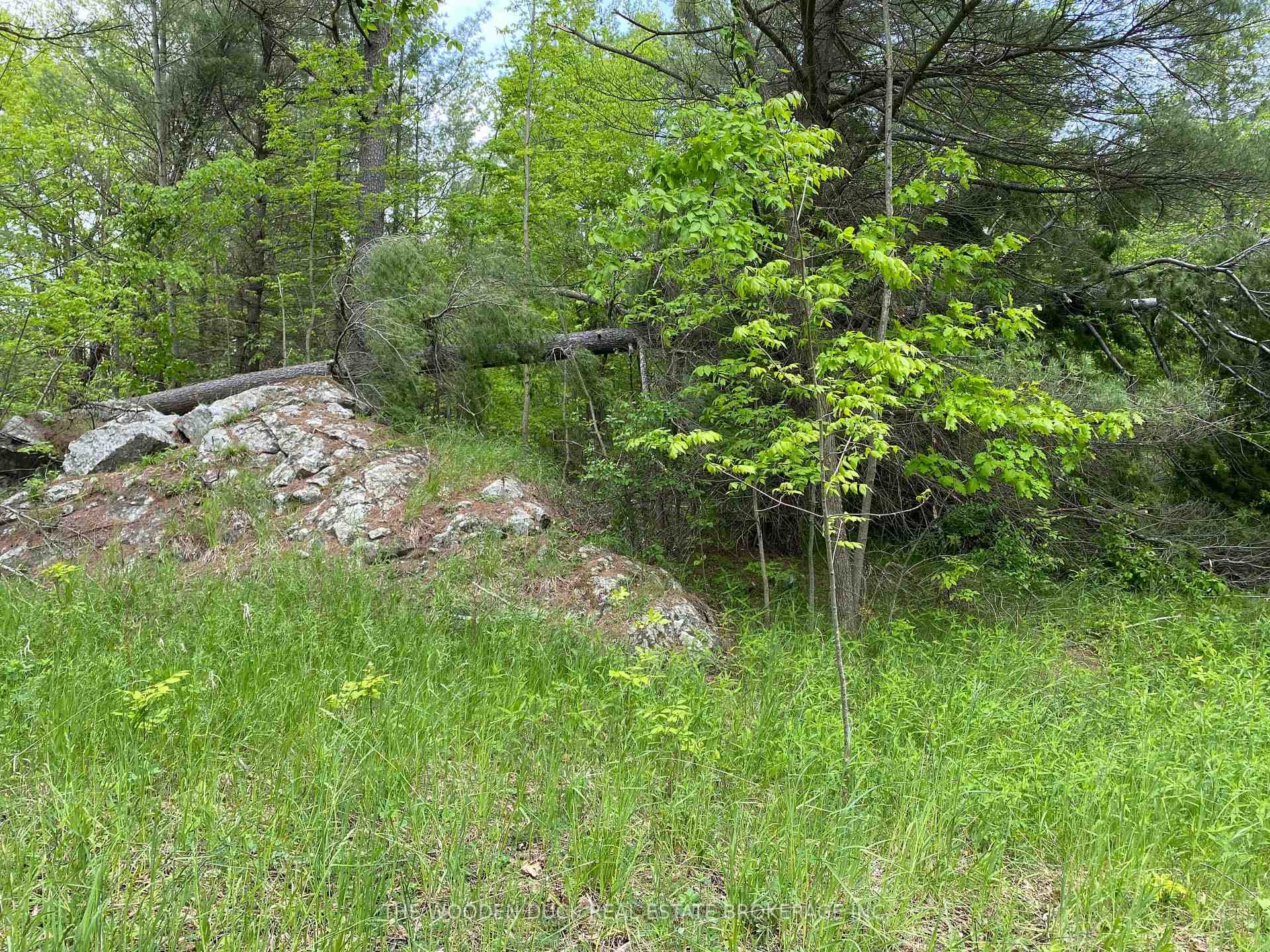 1915 County Road 48 Road photo 5