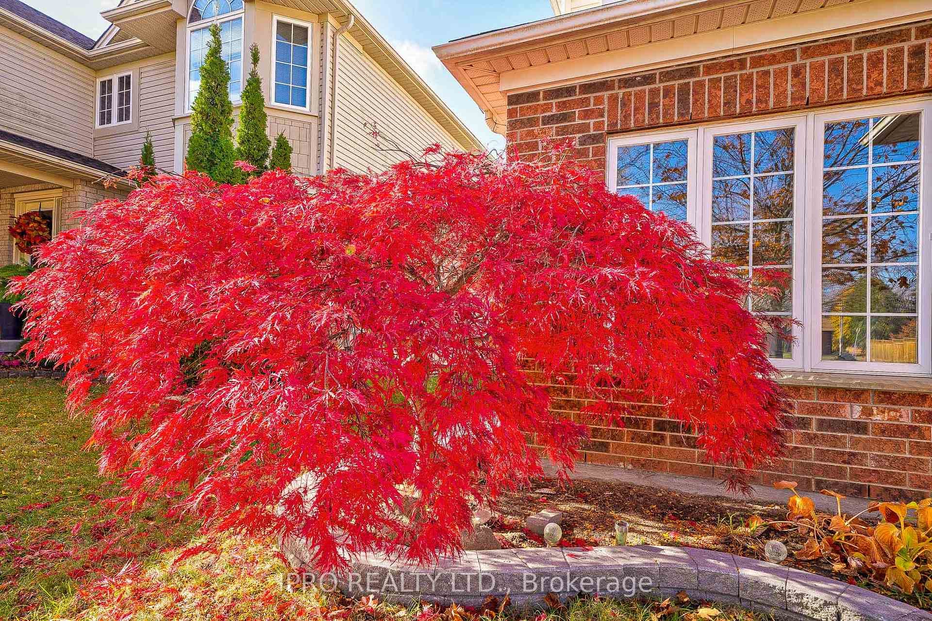 443 Hearthwood Drive photo 3
