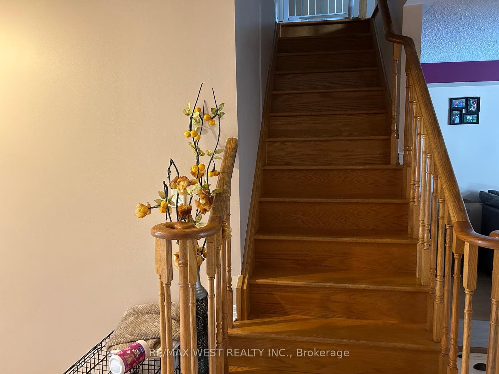 7 Stallion Place photo 9