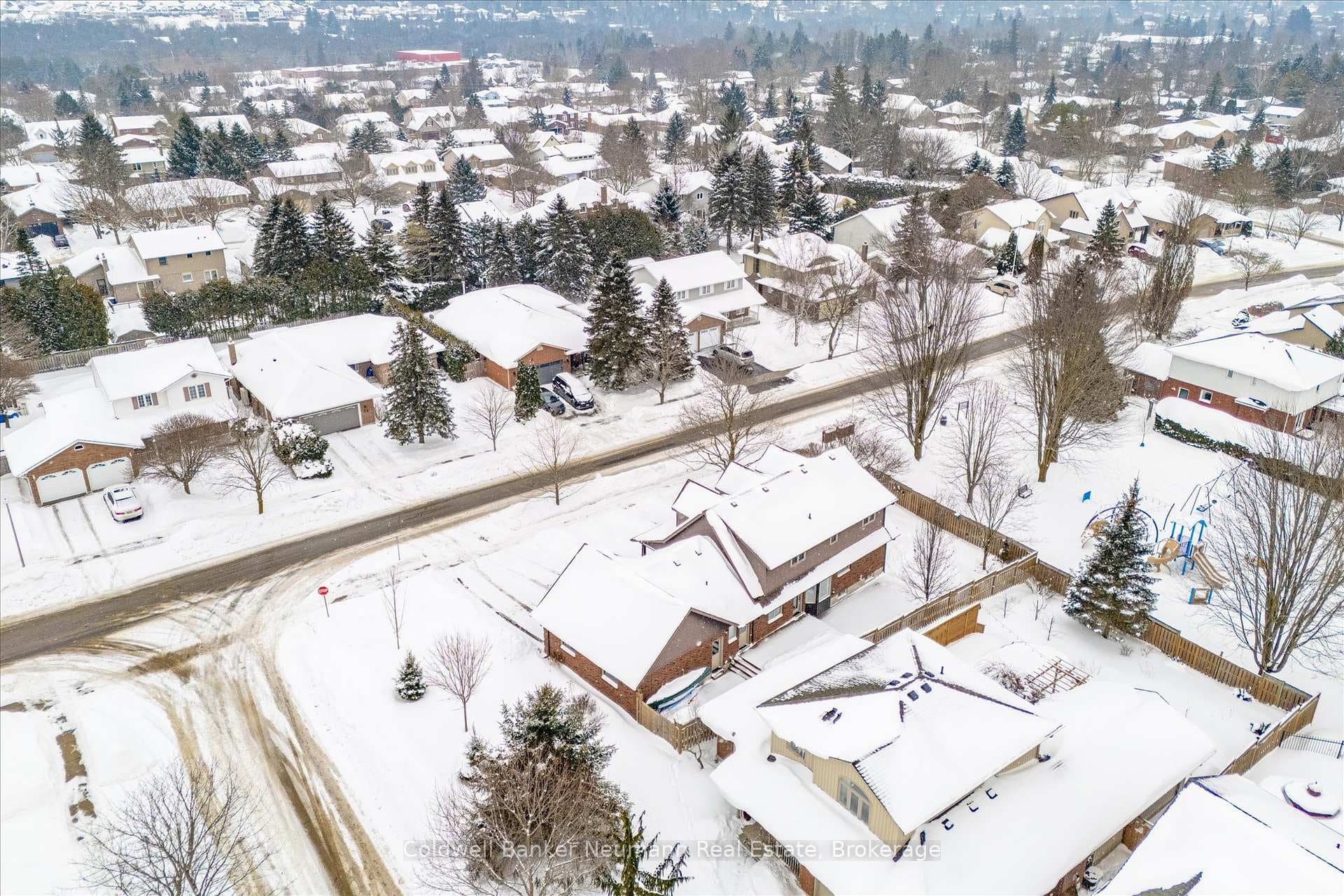 59 Keating Drive photo 49