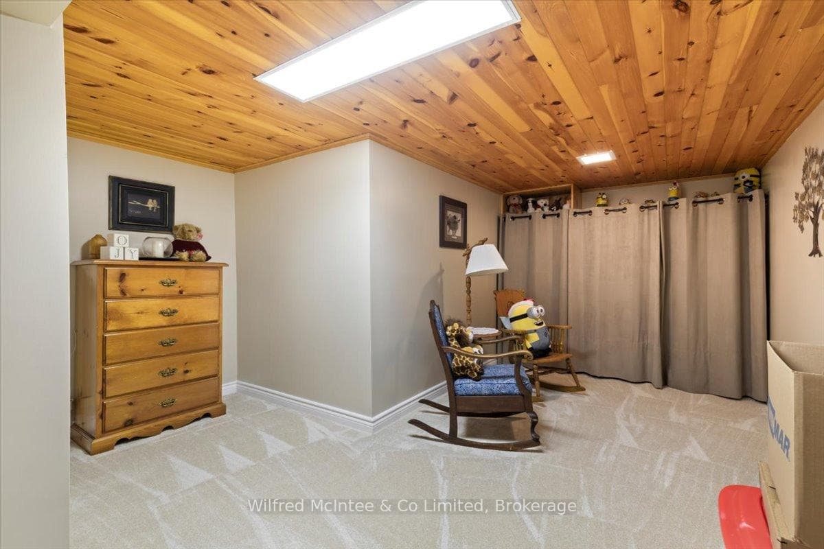 Flex Room/Office - Basement