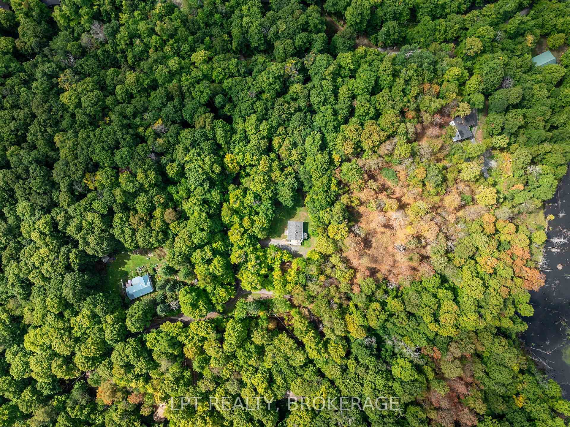 331 Maple Grove Lane photo 40