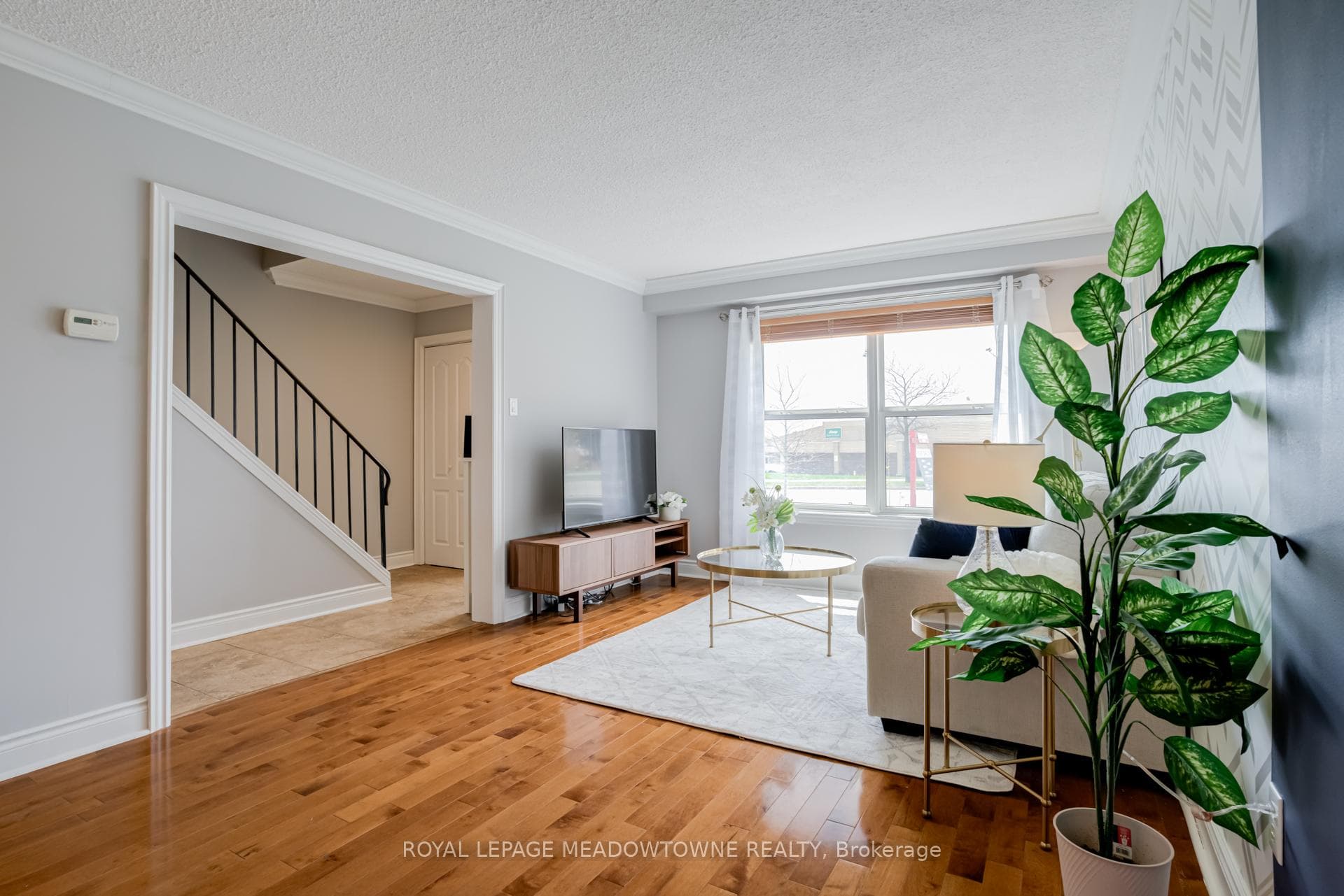 92 Morley Crescent photo 6