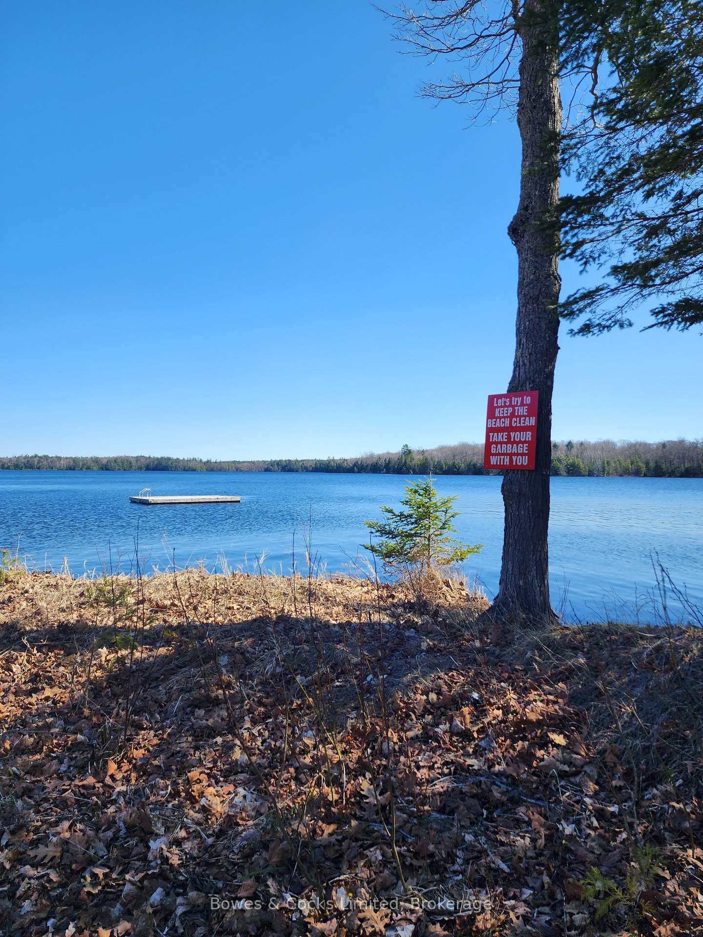 42 Clear Lake Court photo 5
